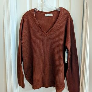 RD Style Brown V Neck Sweater NWT